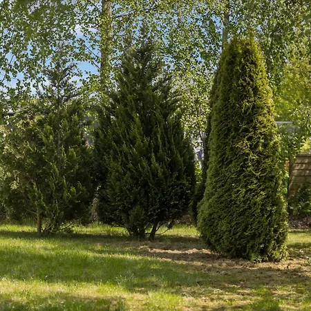 Hébergement de vacances Lovely In Sydals With Sauna *